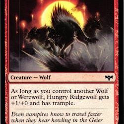 Hungry Ridgewolf Common 161/277 Innistrad: Crimson Vow (VOW) Magic the Gathering