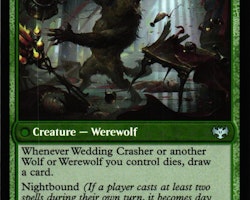 Wolfkin Outcast / Wedding Crasher Uncommon 229/277 Innistrad: Crimson Vow (VOW) Magic the Gathering