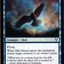 Mist Raven Common 67/244 Avacyn Restored (AVR)Magic the Gathering