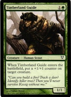 Timberland Guide Common 197/244 Avacyn Restored (AVR) Magic the Gathering