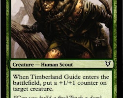 Timberland Guide Common 197/244 Avacyn Restored (AVR) Magic the Gathering