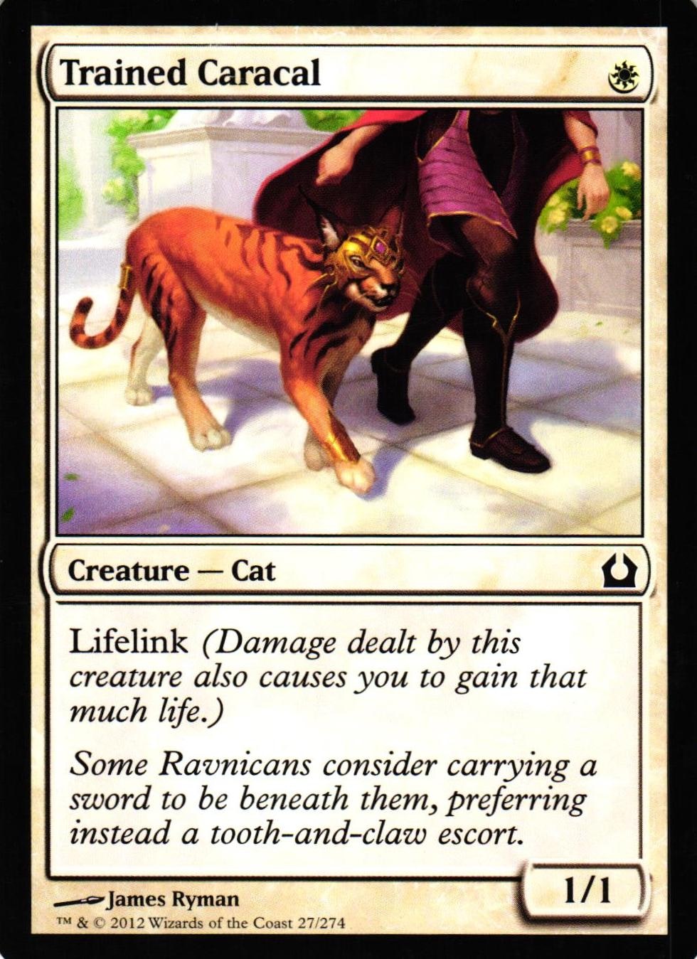 Trained Caracal Common 27/274 Return of Ravnica (RTR) Magic the Gathering