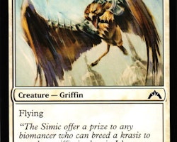 Assault Griffin Common 4/249 Gatecrash Gatecrash (GTC) Magic the Gathering