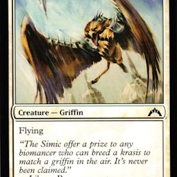 Assault Griffin Common 4/249 Gatecrash Gatecrash (GTC) Magic the Gathering
