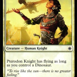 Pterodon Knight Common 028/279 Ixalan (XLN) Magic the Gathering
