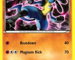 Lucario Rare 47/124 Fates Collide Pokemon