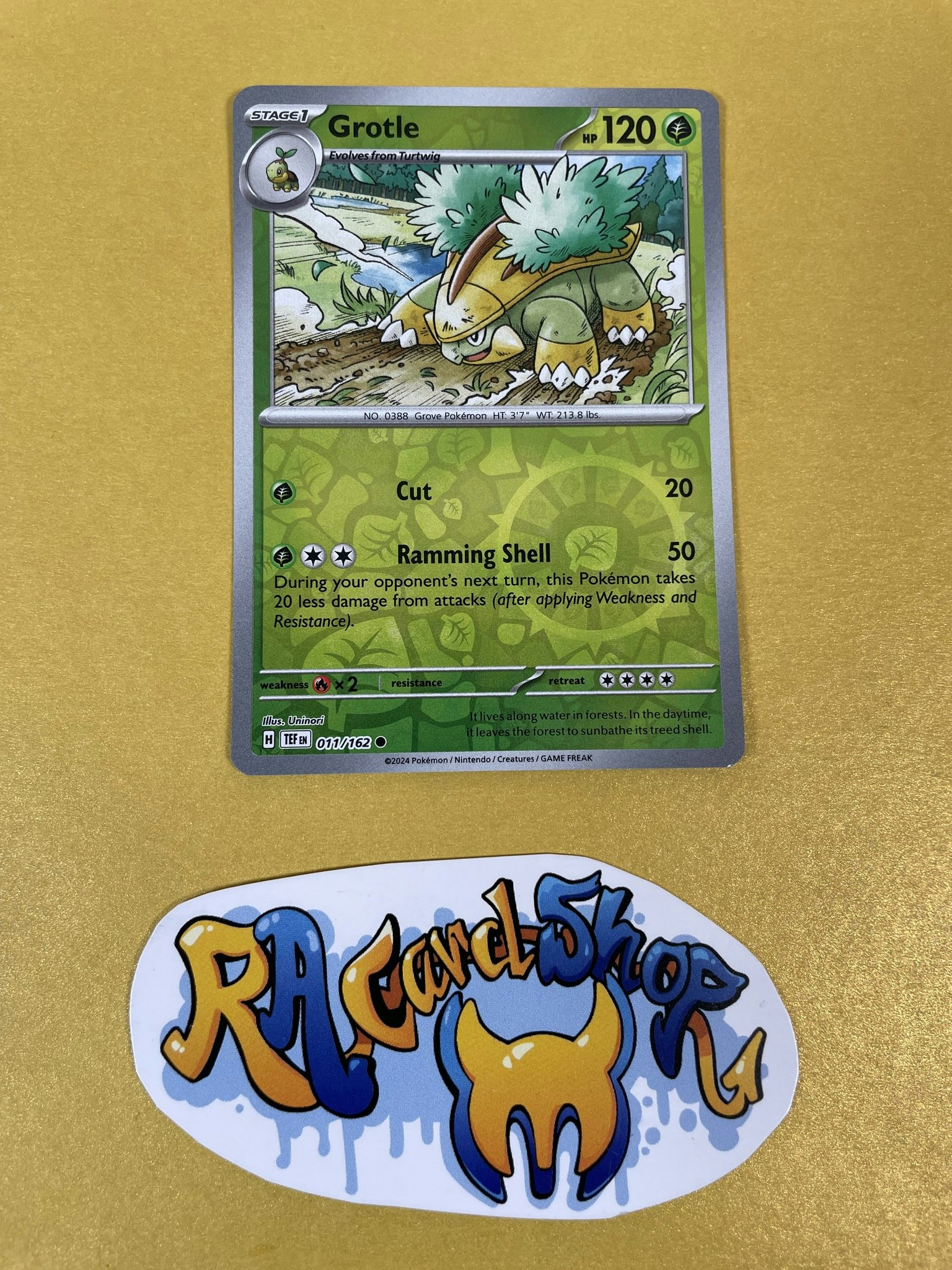 Grotle Reverse Holo Common 011/162 Temporal Forces Pokemon