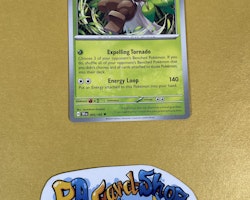 Shiftry Uncommon 005/162 Temporal Forces Pokemon