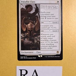 Paladin Class Rare 029/281 Adventures in the Forgotten Realms (AFR) Magic the Gathering