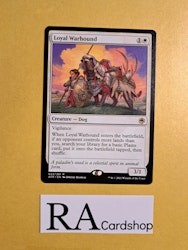 Loyal Warhound Rare 023/281 Adventures in the Forgotten Realms (AFR) Magic the Gathering