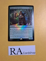 Magus of the Order Rare Foil 242/361 Commander Legends (CMR) Magic the Gathering