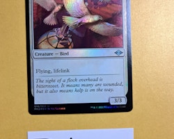 Healers Flock Uncommon Foil 016/303 Modern Horizons 2 (MH2) Magic the Gathering