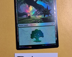 Forest Land Foil 277/287 The Brothers War Magic the Gathering