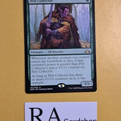 Pelt Collector Rare 141/259 Guilds of Ravnica (GRN) Magic the Gathering