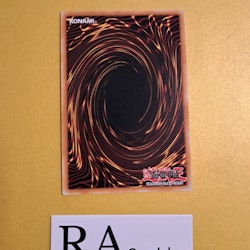 Magicians Salvation RA01-EN068 Super Rare 1st Edition 25th Anniversary Rarity Collection Yu-Gi-Oh