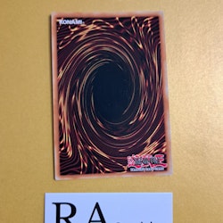 Red-Eyes Flare Metal Dragon RA01-EN038 Secret Rare 1st Edition 25th Anniversary Rarity Collection Yu-Gi-Oh