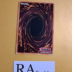 Fairy Tail - Luna RA01-EN009 Ultra Rare 1st Edition 25th Anniversary Rarity Collection Yu-Gi-Oh
