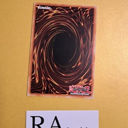 Realm of Danger! Rare MP19-EN140 1st Edition Gold Sarcophagus Tin Mega Pack 2019 MP19 Yu-Gi-Oh