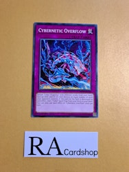 Cybernetic Overflow Common MP19-EN129 1st Edition Gold Sarcophagus Tin Mega Pack 2019 MP19 Yu-Gi-Oh