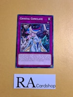 Crystal Conclave Common MP19-EN070 1st Edition Gold Sarcophagus Tin Mega Pack 2019 MP19 Yu-Gi-Oh
