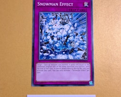 Snowman Effect Common DANE-EN079 Dark Neostorm DANE Yu-Gi-Oh