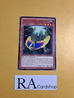 Mystic Macrocarpa Seed Common LVAL-EN035 1st Edition Legacy of the Valiant LVAL Yu-Gi-Oh