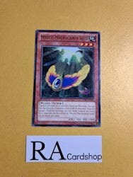 Mystic Macrocarpa Seed Common LVAL-EN035 1st Edition Legacy of the Valiant LVAL Yu-Gi-Oh