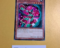 Rose Witch Common LVAL-EN093 1st Edition Legacy of the Valiant LVAL Yu-Gi-Oh