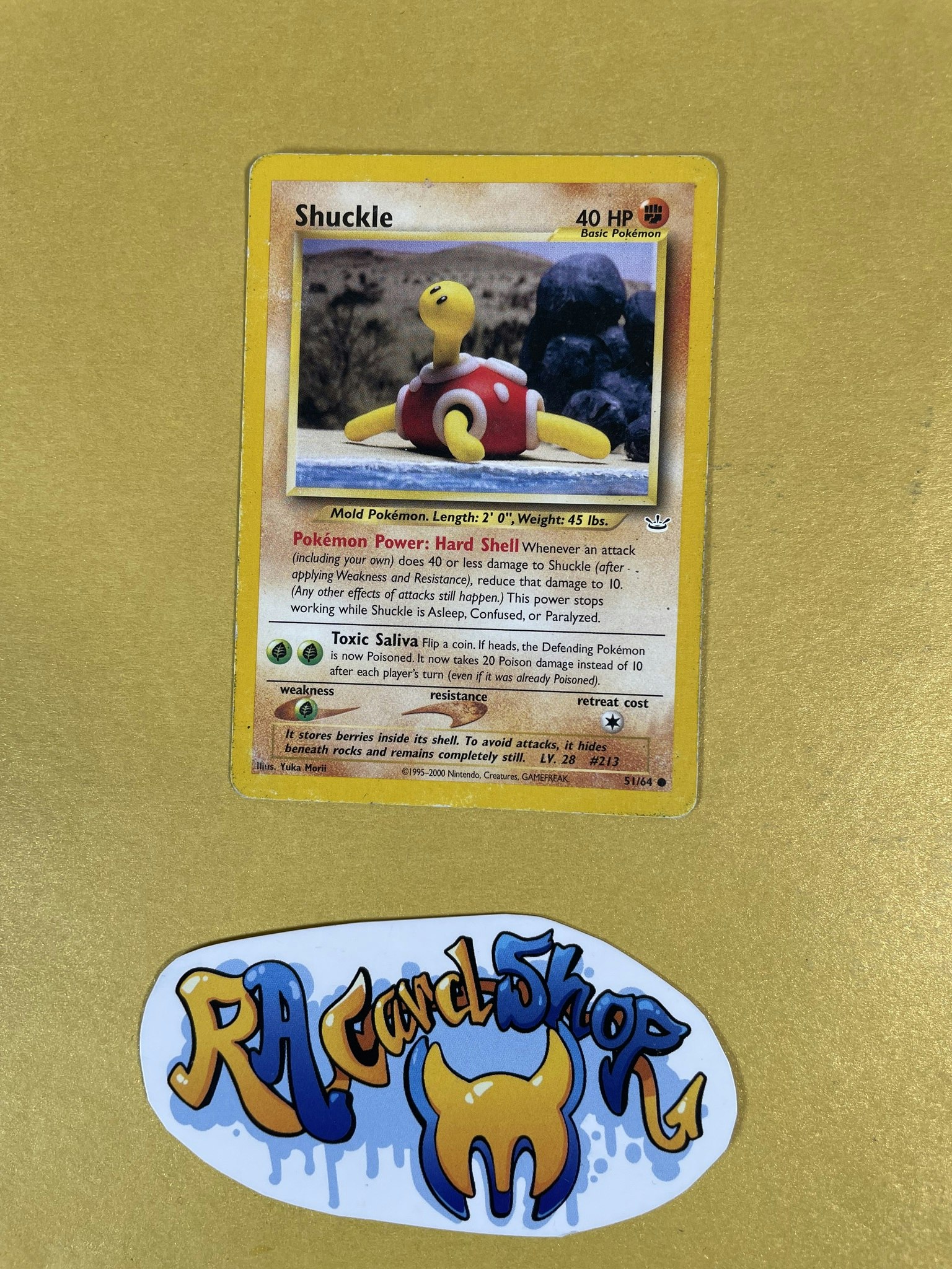 Shuckle Common 51/64 Neo Revelation Pokemon