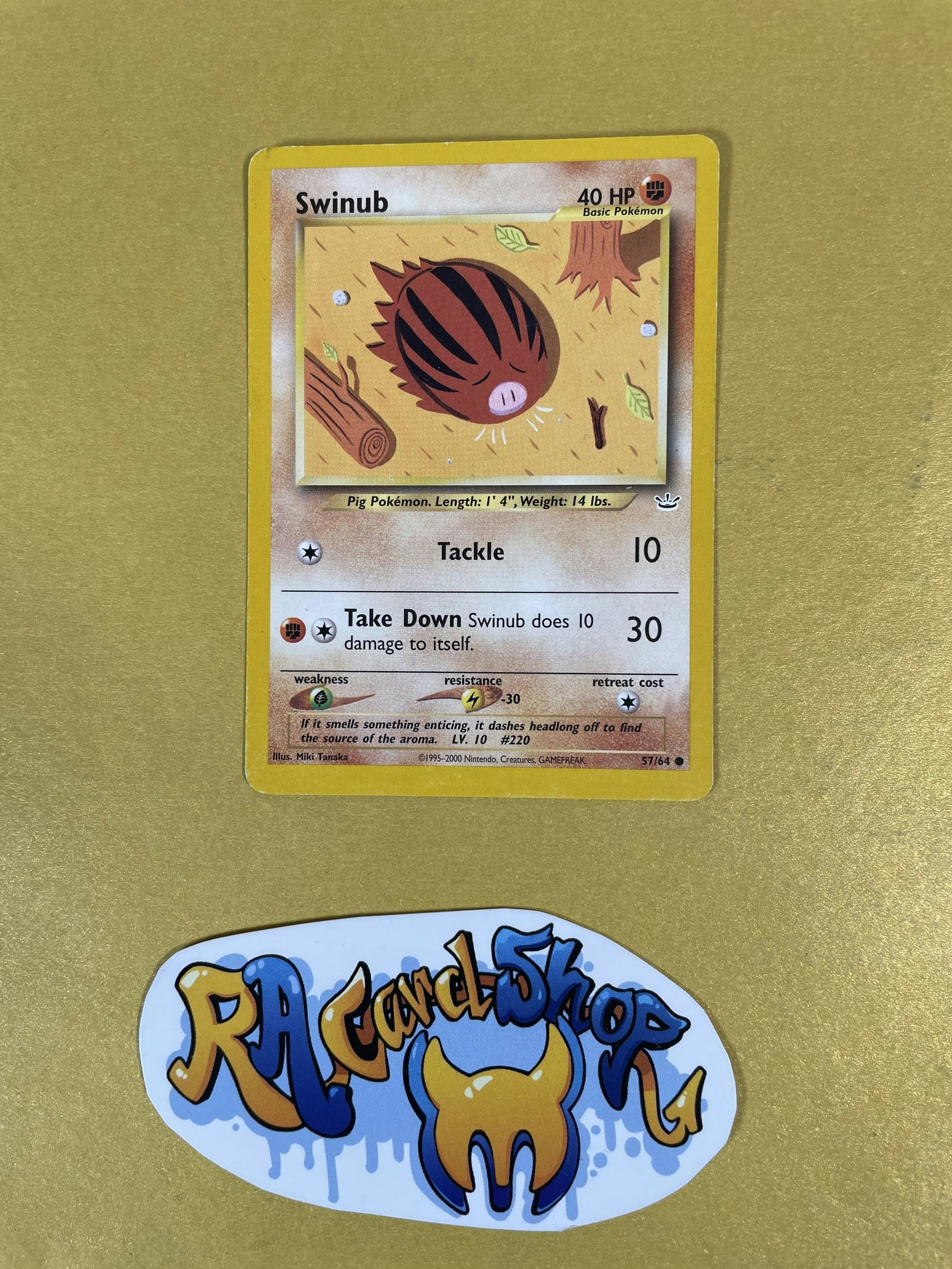 Swinub Common (1) 57/64 Neo Revelation Pokemon