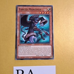 Fabled Marcosia Common MP22-EN009 1st Edition Tin of the Pharaohs Gods 2022 MP22 Yu-Gi-Oh
