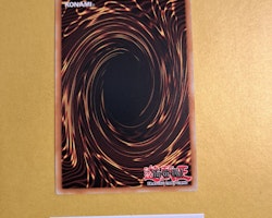 Majestic Absorption Common MP22-EN153 1st Edition Tin of the Pharaohs Gods 2022 MP22 Yu-Gi-Oh