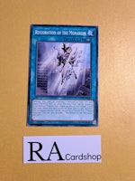 Restoration of the Monarchs Common MP19-EN040 1st Edition Gold Sarcophagus Tin Mega Pack 2019 MP19 Yu-Gi-Oh