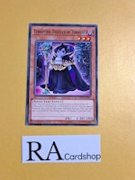 Terrifying Toddler of Torment Common MP19-EN091 1st Edition Gold Sarcophagus Tin Mega Pack 2019 MP19 Yu-Gi-Oh