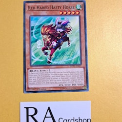 Red Haired Hasty Horse Common MP19-EN017 1st Edition Gold Sarcophagus Tin Mega Pack 2019 MP19 Yu-Gi-Oh