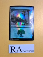 Forest Land Foil 402 The Lost Caverns of Ixalan LCI Magic the Gathering