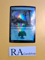Forest Land Foil 402 The Lost Caverns of Ixalan LCI Magic the Gathering