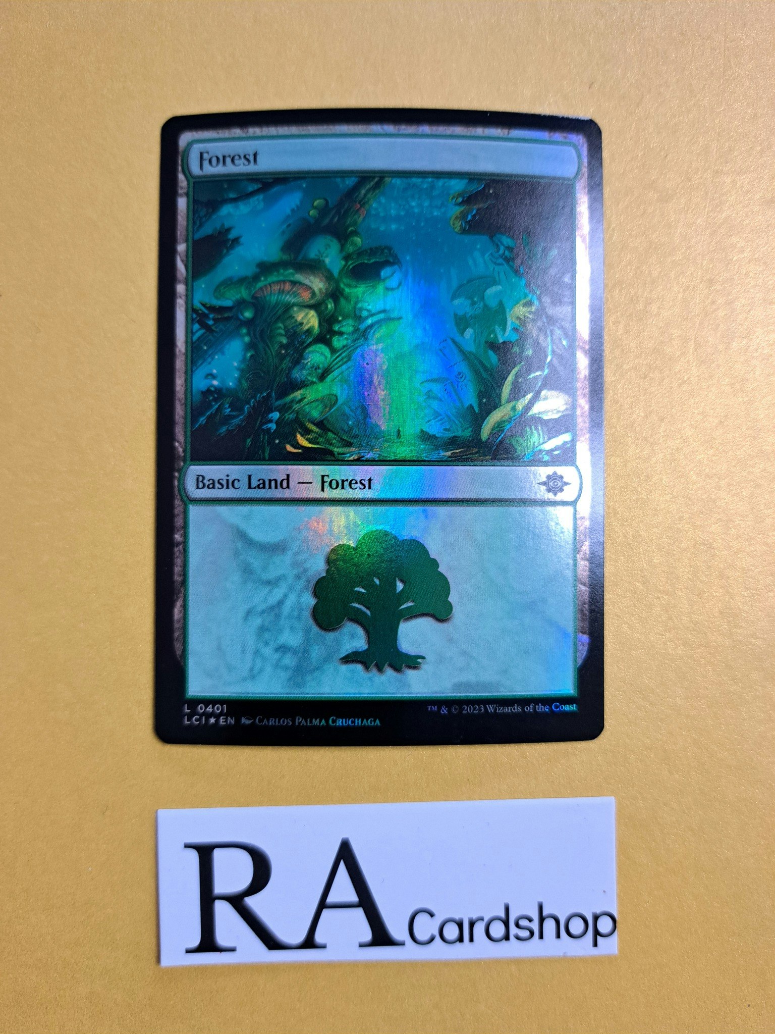 Forest Land Foil 401 The Lost Caverns of Ixalan LCI Magic the Gathering