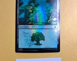 Forest Land Foil 401 The Lost Caverns of Ixalan LCI Magic the Gathering