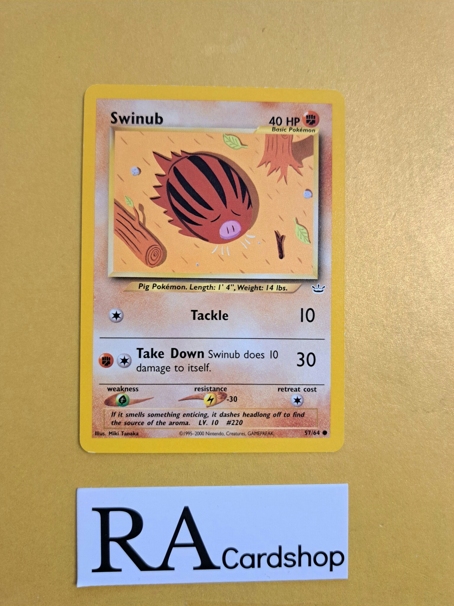 Swinub Common 57/64 Neo Revolation Pokemon