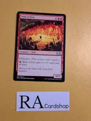 Wall of Fire Common 167/269 Magic 2015 (M15) Magic the Gathering