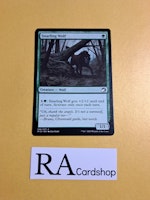 Snarling Wolf Common 199/277 Innistrad Midnight Hunt (MID) Magic the Gathering