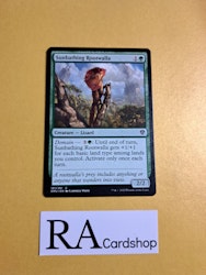 Sunbathing Rootwalla Common 181/281 Dominaria United (DMU) Magic the Gathering