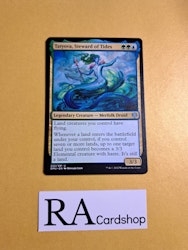 Tatyova Stweard of Tides Uncommon 222/281 Dominaria United (DMU) Magic the Gathering