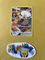 Rockruff Illustration Rare TG07/TG30 Silver Tempest Pokemon