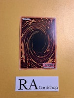 Ice Barrier RA01-EN071 Secret Rare 1st Edition 25th Anniversary Rarity Collection Yu-Gi-Oh