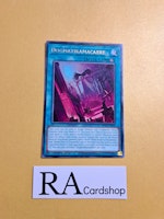 Dogmatikmacabre Rare MP23-EN029 1st Edition 25th Anniversary Tin: Dueling Heroes Mega Pack MP23 Yu-Gi-Oh