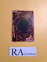 Runick Smiting Storm Common MP23-EN248 1st Edition 25th Anniversary Tin: Dueling Heroes Mega Pack MP23 Yu-Gi-Oh