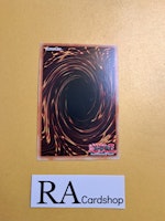 Eka the Flame Buddy Common MP23-EN130 1st Edition 25th Anniversary Tin: Dueling Heroes Mega Pack MP23 Yu-Gi-Oh