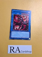 Libromancer Doombroker Common MP23-EN047 1st Edition 25th Anniversary Tin: Dueling Heroes Mega Pack MP23 Yu-Gi-Oh